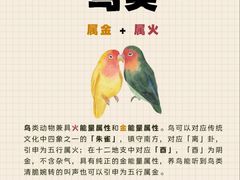 -立德异宠动物医院.兔鸟爬.内窥镜(天河店)