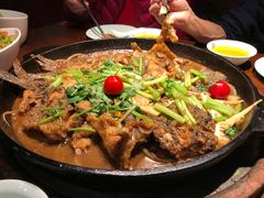 -老板恋上鱼(高新万达店)