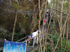 -石台牯牛降景区