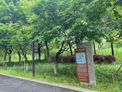 -沙家浜风景区