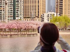 -西北湖绿化广场