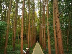 -同里国家湿地公园