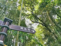 -千泷沟大瀑布旅游区