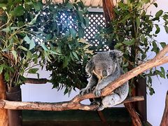 -费瑟代尔野生动物园