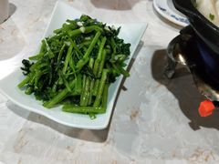 空心菜-汉口码头