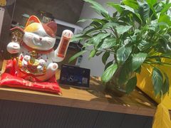-梵猫·新养生(南坪万达店)