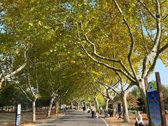 -宜兴龙背山森林公园