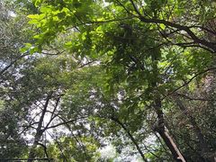 -广州市白云山风景名胜区