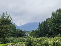 -国家植物园南园