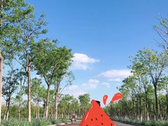 -天津东丽湖风景区