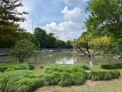 -上海海湾国家森林公园