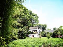 -西湖茶墅