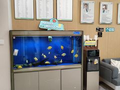 -艾维口腔(春江花月门诊部)