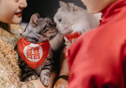 -MANLI BRIDAL婚纱