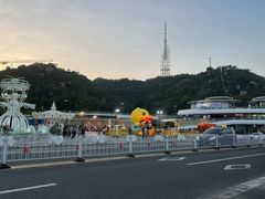 -野狸岛