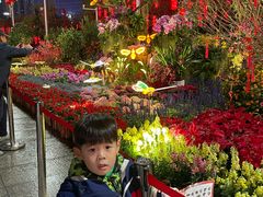 -天河体育中心