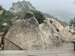 -大岭沟猕猴桃谷风景区