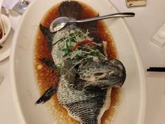 -骏莱海鲜鱼港(五角场店)