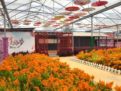 -广东花都香草世界旅游度假区