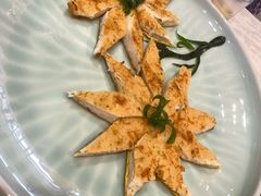 -丁老爷子苏香圆