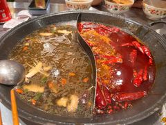 -朱光玉火锅馆(正弘城店)