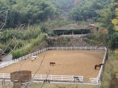 -宁海安岚·南溪阁全日餐厅