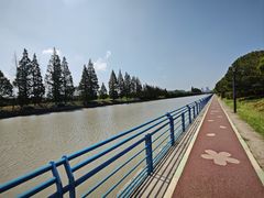 -高东镇樱花园