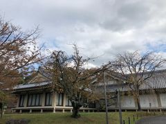 -醍醐寺