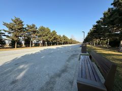 -汉长安城未央宫国家考古遗址公园