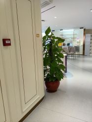 -广州美莱医疗美容医院