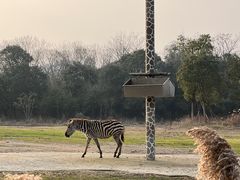 -宁波野生动物园