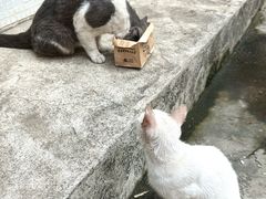 -公园前(地铁站)