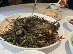 -老吉士酒家(天平路店)