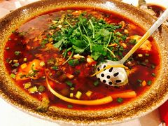 -院8里·少城记忆老川菜(宽窄巷子店)