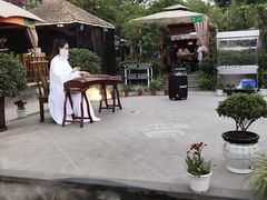 -二荆条·蜀鲜汇城市森林火锅