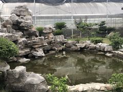 -呼吸森林·生态农庄农家乐私房菜