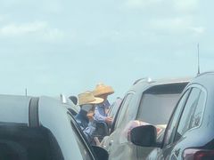 -硇洲岛旅游区