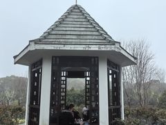 -上海鲜花港