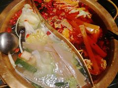 -杨家火锅(国美店)