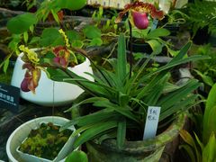 -国家植物园南园