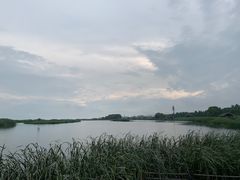 -太湖湖滨国家湿地公园-停车场