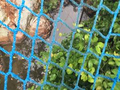 -呀诺达热带雨林
