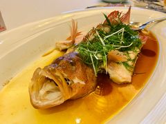 东星斑-凯宾斯基大酒店·三楼御龙轩中餐厅