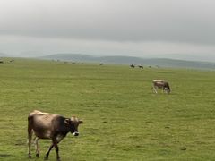 -新疆那拉提国家旅游度假区