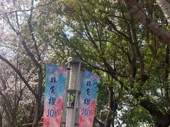 -高东镇樱花园