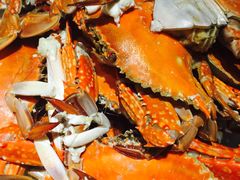 -青山鸡(海信天悦店)