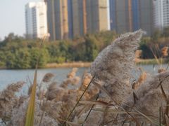 -五缘水乡酒店兰轩中餐厅