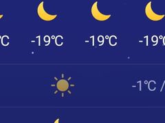 -东来顺铜锅炭火涮肉(上地华联店)