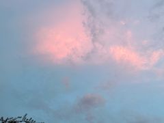 -东天目山风景区