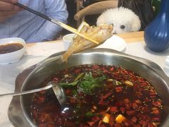 -蛙蛙鸡冷锅鱼(温江店)